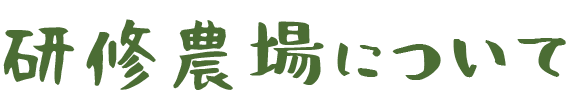 研修農場について
