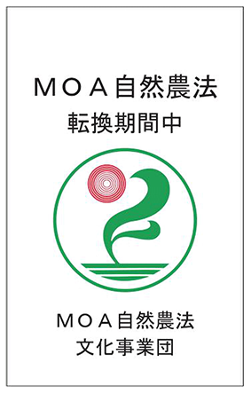 MOA自然農法転換期間中